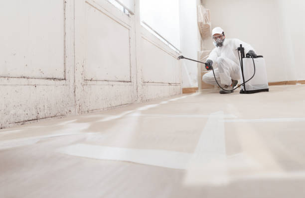 24/7 Emergency Commercial Mold Remediation experts in Howard, PA