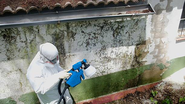 Top rated local Commercial Mold Remediation specialists in Howard, PA